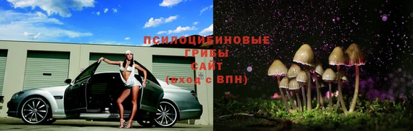 прущие крисы Беломорск