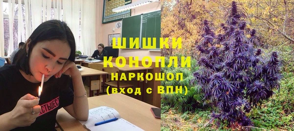 ECSTASY Белокуриха