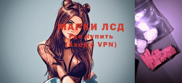 ECSTASY Белокуриха