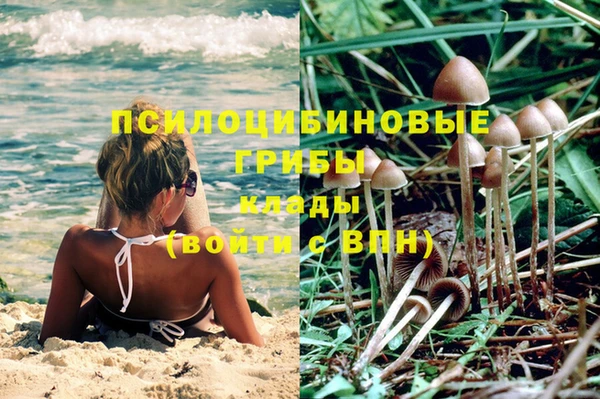 ECSTASY Белокуриха